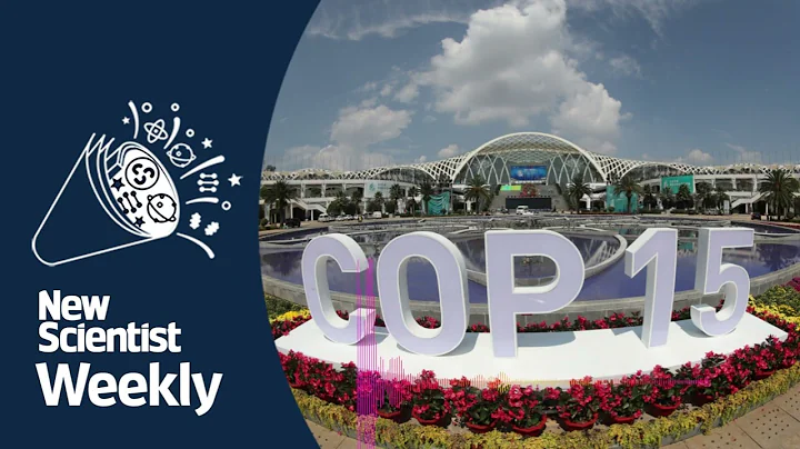 COP15: the meeting to save life on Earth | New Sci...