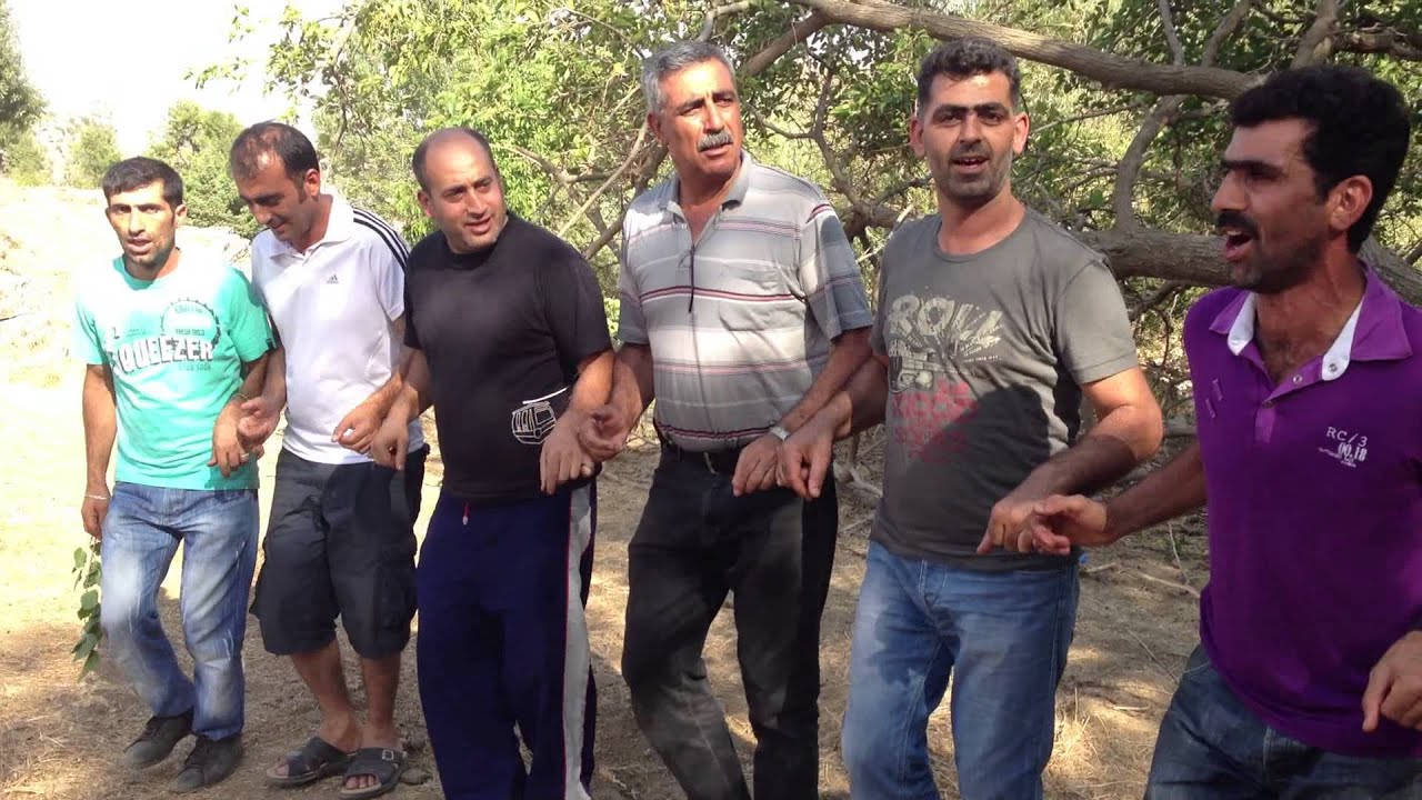 Alaaddin (Aldun-Salpoşt) gowend