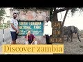 VLOG| SOUTH LUANGWA NATIONAL PARK ZAMBIA |MFUWE