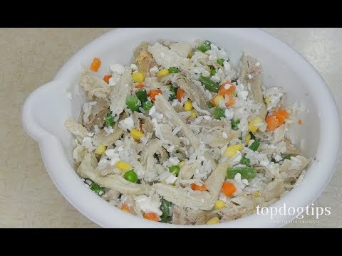 homemade-chicken-and-vegetable-food-for-dogs-with-diabetes-recipe