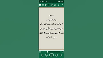 سورة الفيل #اكسبلور #المصحف #الرحمن #لايك #دويتو