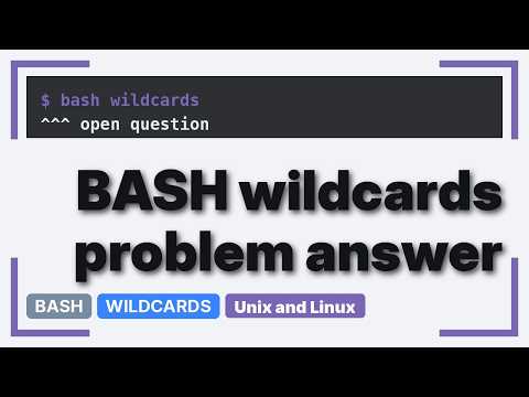 bash globstar matching (3 Solutions!!)