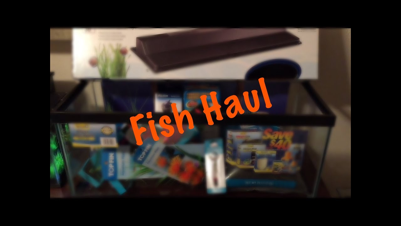 petco hours Giant Fish Haul