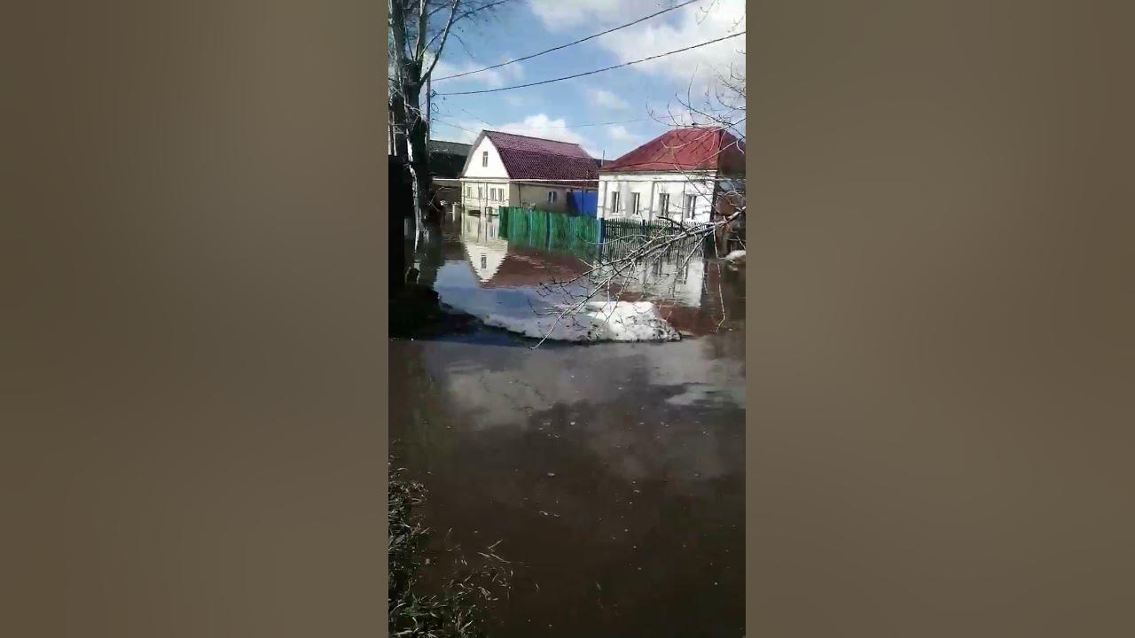 Погода в радищеве ульяновской на неделю