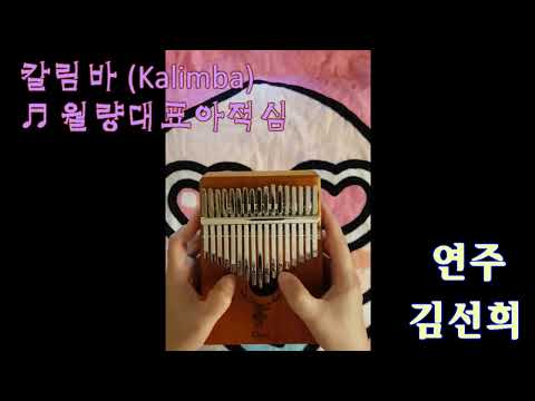 월량대표아적심 (텅드럼 칼림바 멜로디1단) - 등려군