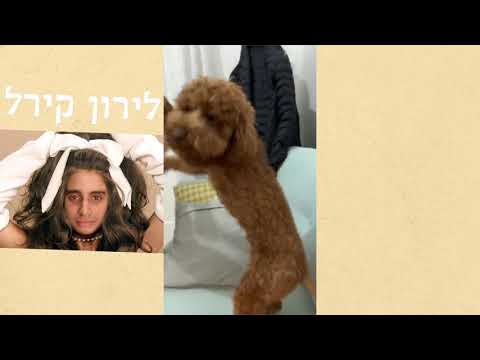 וִידֵאוֹ: שווי נקי של דילן רטיגן: ויקי, נשוי, משפחה, חתונה, משכורת, אחים