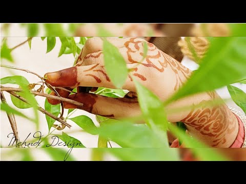 #7 Simple & Easy Forehand Mehndi Design | Hannah Design | Aasheen’s kitchen