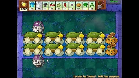 Minimalist 8 Cob Setup | Fog Endless