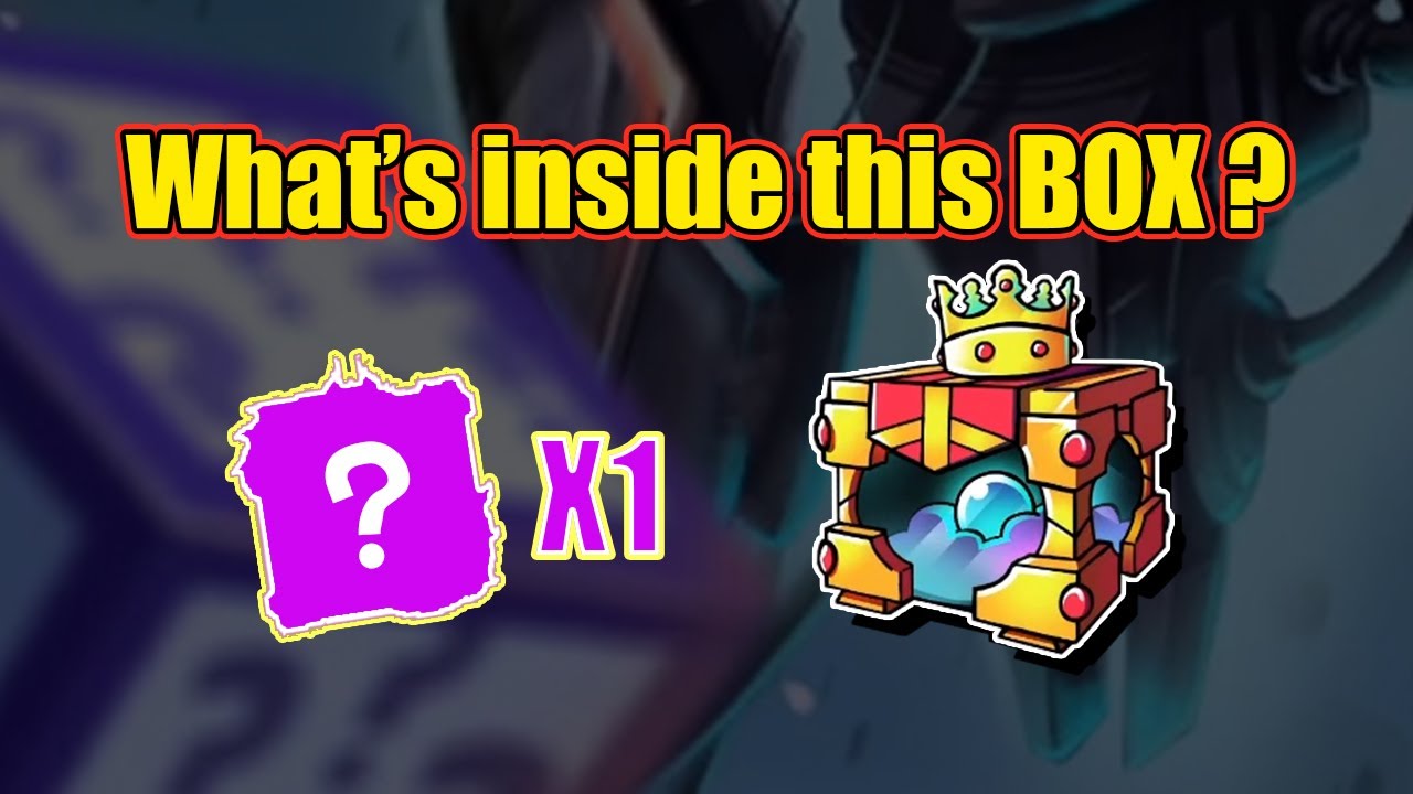 RANDOM DICE : 1st Anniversary Box - Z1CKP Gaming - Random Dice New Update