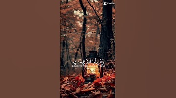 #قرآن #المنشاوي_عبد_الباسط_عبد_الصمد_تلاوه_خاشعة #تلاوة_خاشعة #لايك #اكسبلور #قران_كريم_ارح_سمعك_وق