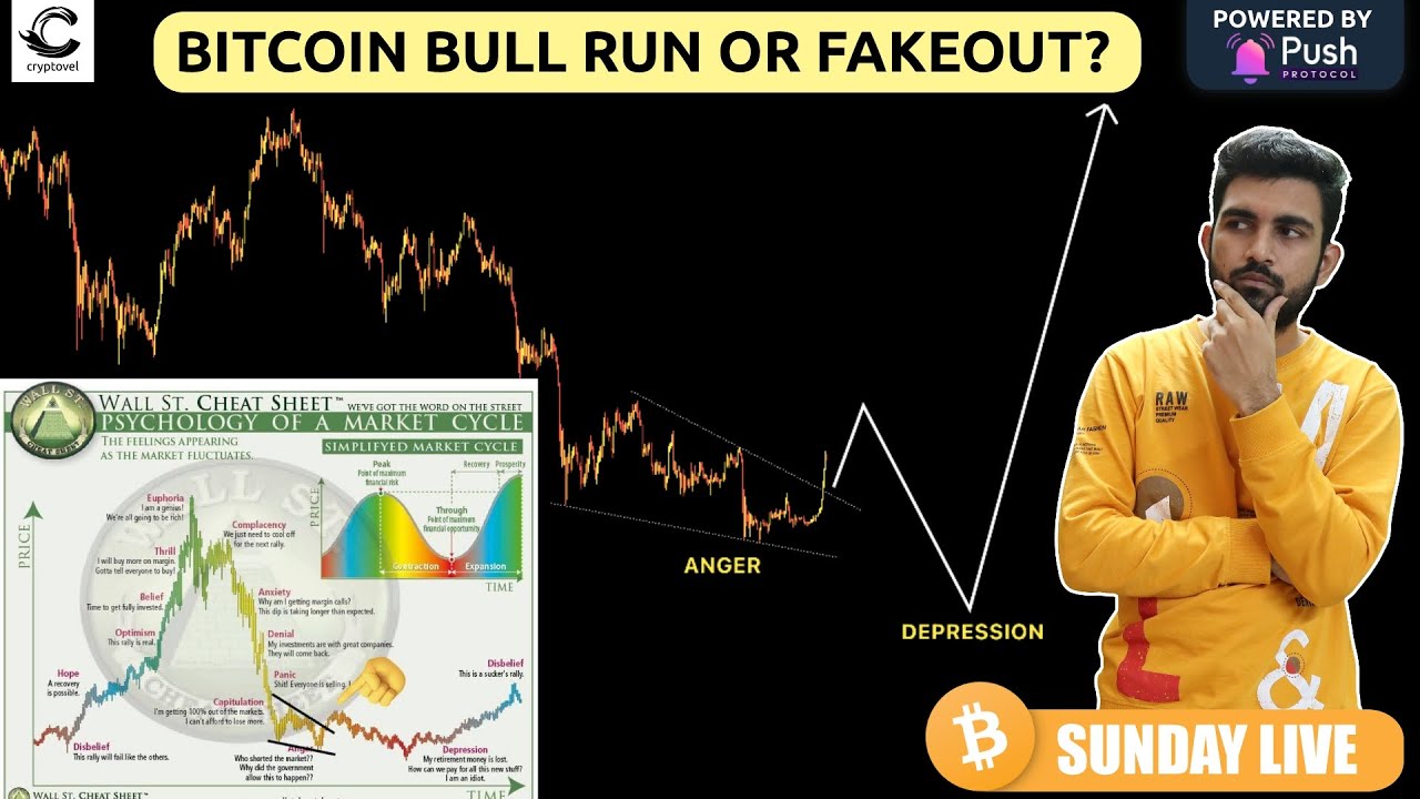 Bitcoin bull run or bull trap | psychology of market cycle | bitcoin ...
