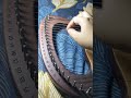Magtanim Ay Di Biro | Lyre Harp Cover | Short
