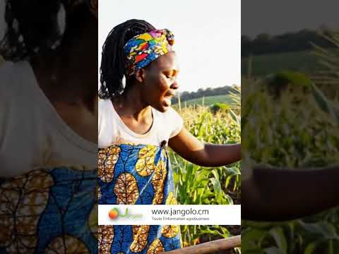 6e377a20-835e-4dbb-aa83-05760b2a2511