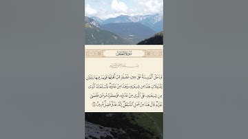 تلاوة خاشعة تأخذك لعالم آخر  إسلام صبحي - سورة القصص#اسلام_صبحي