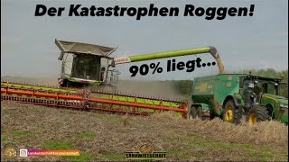 90% Liegt... Der Katastrophen Roggen! 2 Claas Mähdrescher Mit 12,30M Schneidwerke Kämpfen Sich Durch