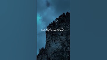 #قرآن #قران_كريم #راحة_نفسية #اكسبلور #لايك #تلاوة_خاشعة #quran #qurantilawat #quotes