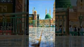 Jaan Hajir he Mustafa ❤️❤️#madina#islamicshort #video