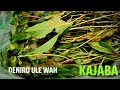 Deniro Ule Wah - Kajaba (Official Visualizer)