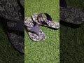 😍 خوبصورت لیڈیز چپل کلیکشن ✨ | Stylish Ladies Slippers 2026