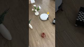 Sucking Vacuuming Cleaning……Cycling#okplife #shorts #cleanwithme #housecleaning #floorcleaning #fyp