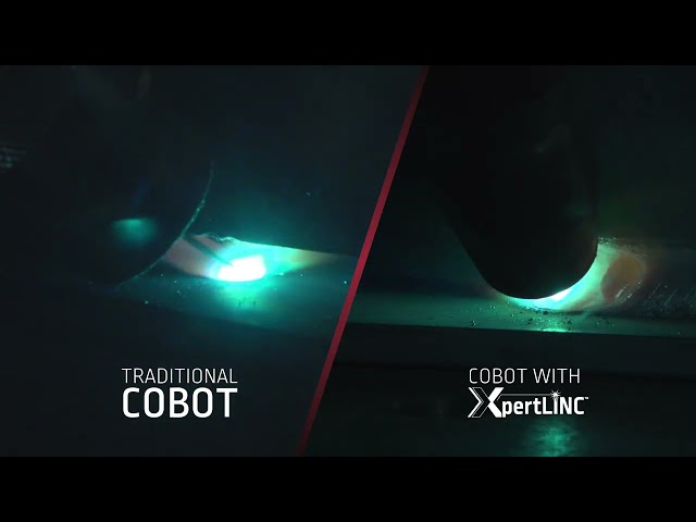 Video - Animated Video