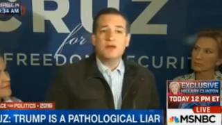 Ted Cruz and the Mayday Meltdown - Extended Edition