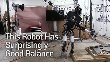 This Robot Has Surprisingly Good Balance