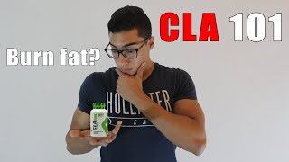 كل شيء عن مكمل ال CLA / هل يساعد لخسارة الوزن ؟  /  شرح الدراسات العلمية