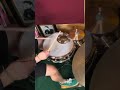 6” hats, 15” snare, 18” kick, 16” crash, and agogo bells. 🥁#drums #drummer #drumandbass