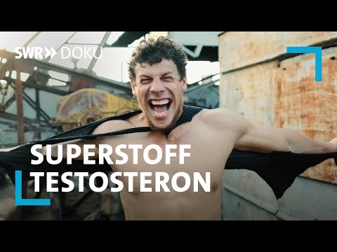 Mehr Kraft, Mehr Lust, Mehr Glück Superstoff Testosteron | Swr Doku