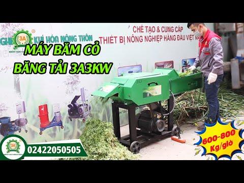 MÁY BĂM CỎ 3A3KW || Siêu Phẩm Máy Băm Cỏ Có Băng Tải, Băm & Đập Dập Cỏ Liên Hoàn