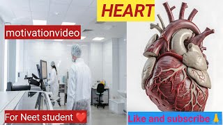 Real Human HEART❤Doctor👩‍⚕Neetaspirants🔥mbbs🩺aiims🥰whatsApp status#heart#trending#mbbs#neet2024#vlog