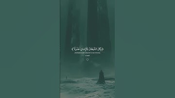 ويوم يعض الظالم على يديه/سورة الفرقان |القارئ عبد الرحمن مسعد #instagood #instagood #اكسبلور