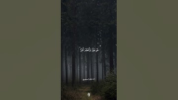 وَمَا تُقَدِّمُوا لِأَنفُسِكُم مِّنْ خَيْرٍ ... سورة المزمل | للـقارئ شريف مصطفى #explore