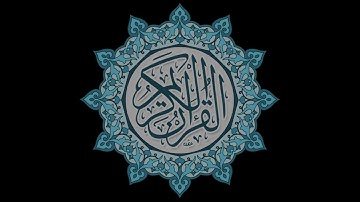 سورة النصر - الشيخ علي الحذيفي