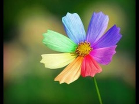как зайти в дневник ру