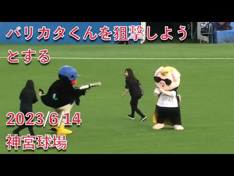 つば九郎、バリカタくんを狙撃しようとするw 2023/6/13