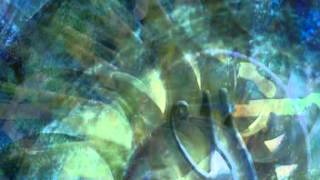 FIRE + ICE & Rolf Schilling chords