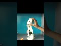 a robotic arm that is 3d printed