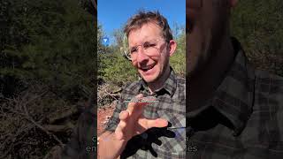 UN POZO PETROLERO ABANDONADO Y FUERA DE CONTROL EN SALTA