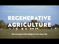 Farmers are changing the world with REGENERATIVE AGRICULTURE - Groundswell Short Film