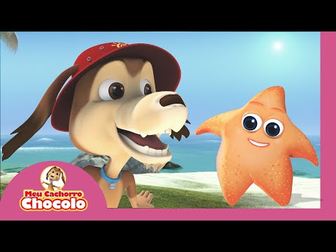 ⭐ ESTRELINHA DO MAR 🐬 | MEU CACHORRO CHOCOLO 🐶 | MÚSICAS INFANTIS | CANÇÕES PARA CRIANÇAS 🎶