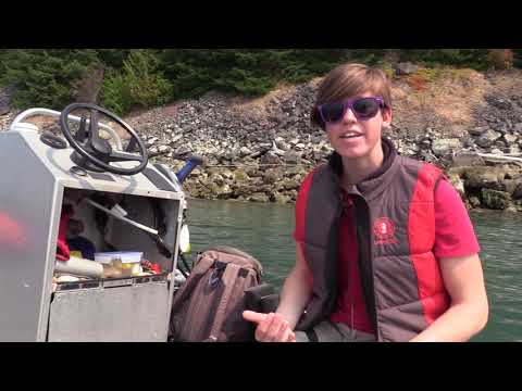 Howe Sound Bioblitz