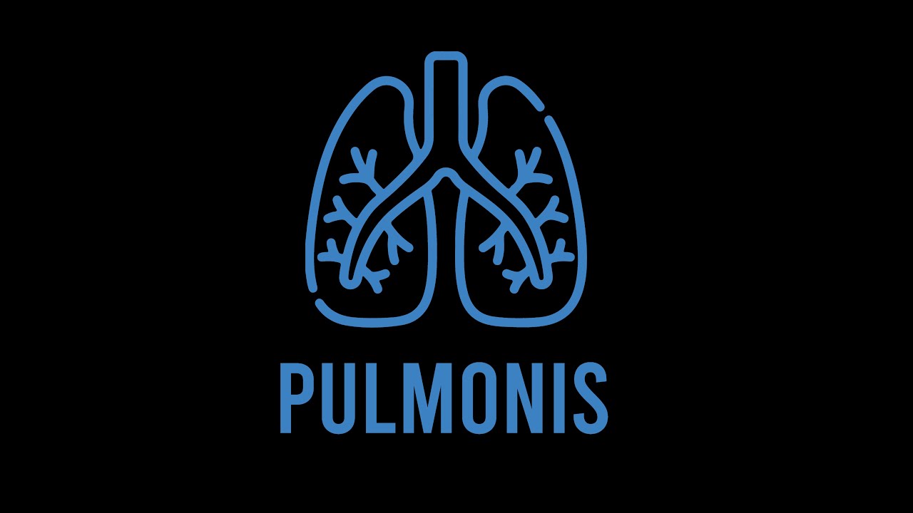 Presentación general | Proyecto de Comunicación Digital App Pulmoins ...