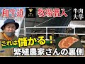話題の「和牛道」のお肉を育てる牧場を訪問！あんなに美味い肉ができる理由とは？