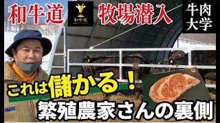 話題の「和牛道」のお肉を育てる牧場を訪問！あんなに美味い肉ができる理由とは？