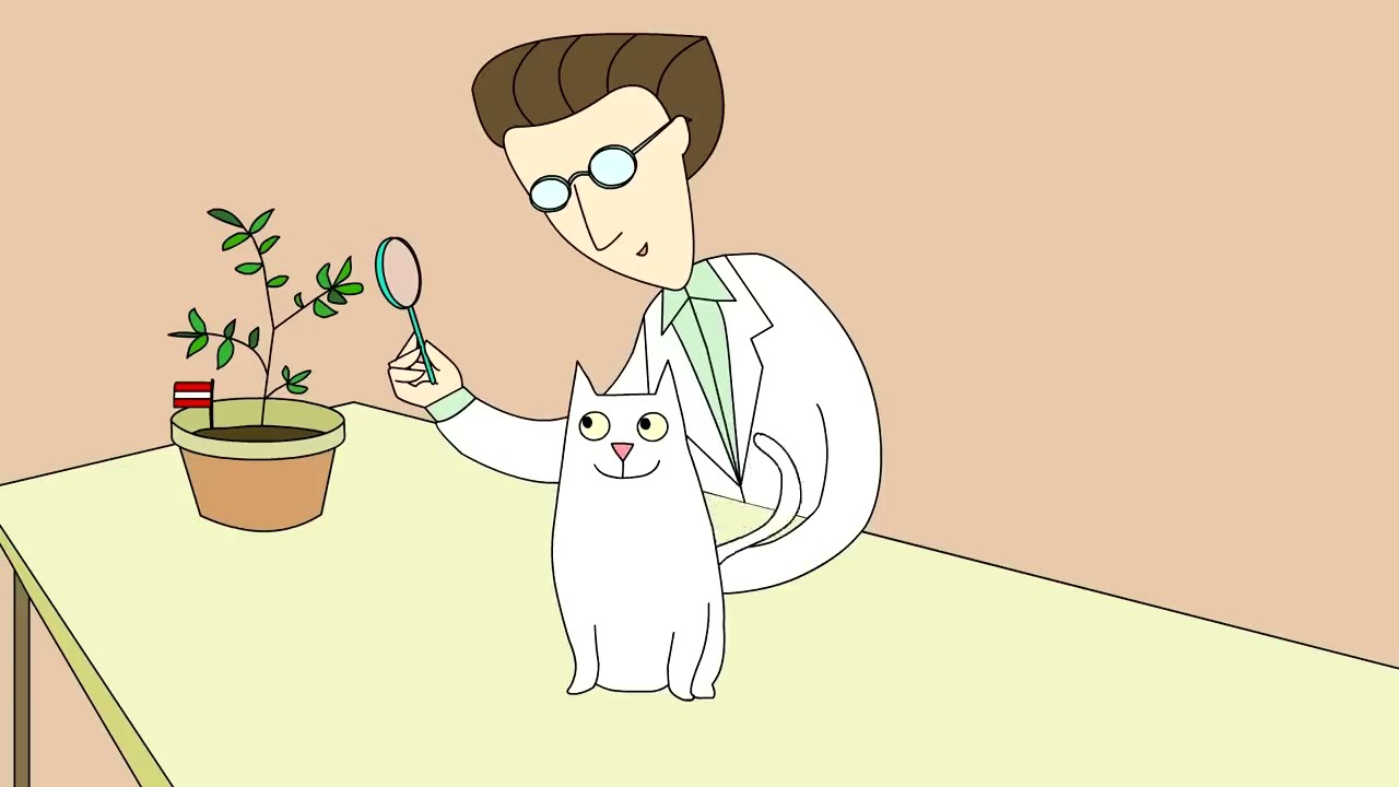 Unveiling the Latest Breakthroughs in Quantum Physics