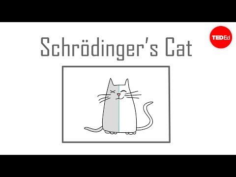 Videó: Schrödinger Macskája - A Híres Paradox Kísérlet