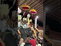 ELEPHANTS IN KERALA | VIRAL ELEPHANTS IN INDIA | TEMPLE ELEPHANTS KERALA | FAMOUS ELEPHANTS KERALA