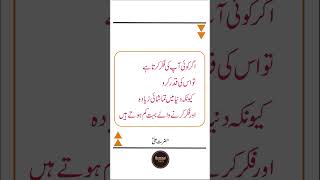Agar Koi Ap Ke Fikar Karta Hay Tu Os Ke Qadar Karo  Life Quotes   Aqwal E Zareen In Urdu shorts